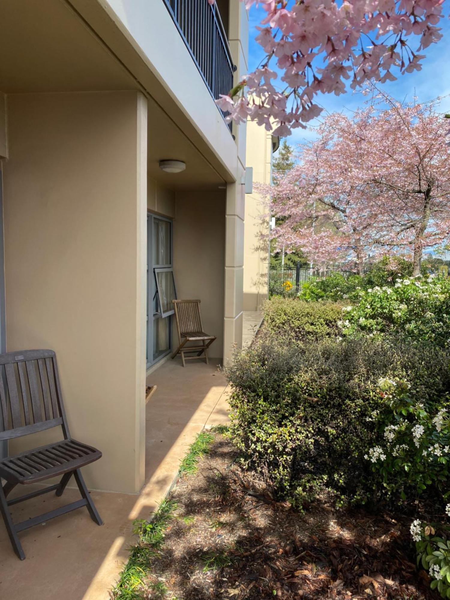 Saxton Lodge Nelson Exterior photo